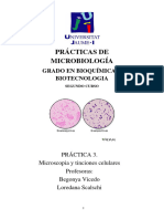 Microscopia y Tinciones Celulares