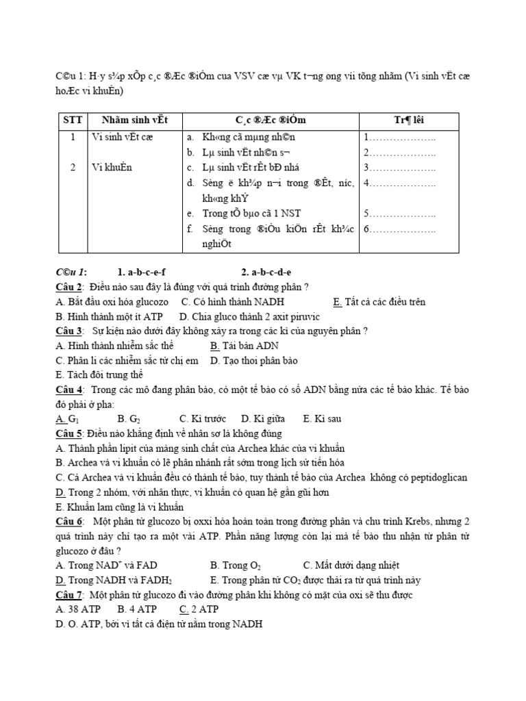 DE + Dap An THI DINH KI LAN 1 | PDF