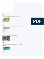 Test: Eathquakes - Quizlet