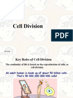 Cell Division Class