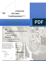 pdf-informe-n1-quimica-de-alimentos_compress