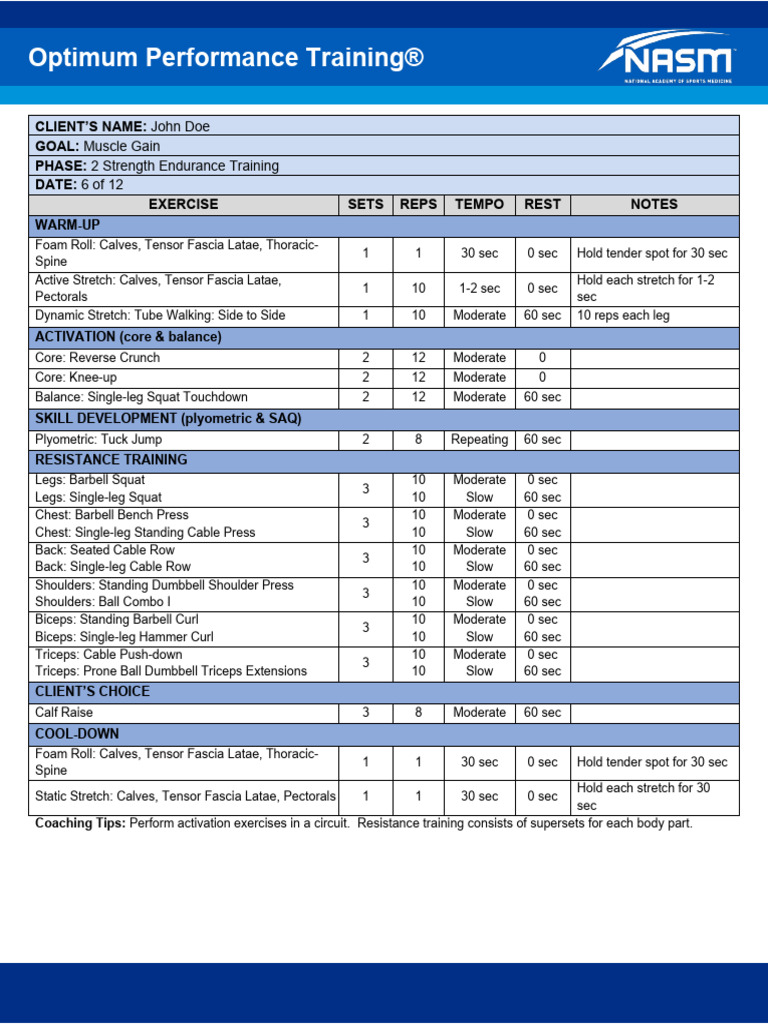 CPT7 Muscle Gain6 | PDF | Strength Training | Musculoskeletal System