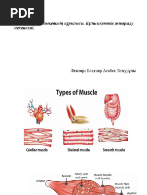 Сперматозоидтардың порно теңізі