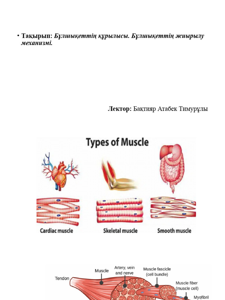 Марина Максимова порно видео