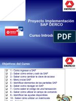 Parte 02 Overview SAP-DERCO
