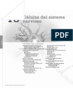 2 - CAP 13,14,16 Anatomia y Fisiologia Patton Thibodeau 8a Edicion