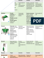 Tabla Musculos Superior