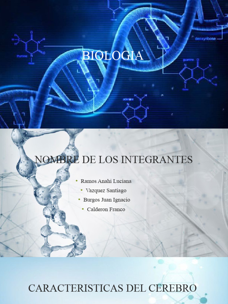 Libro BIOLOGIA 4a Edizione Volume Unico + Kit Scolastico Rebillo – Pratico Ed Elegante