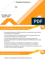03 - Proceso - Certificacion - PP - P1 - Ag - 23