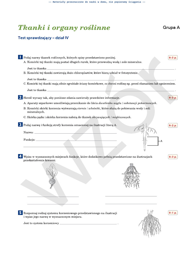 Biologia Klasa 5 Sprawdziany Chomikuj Puls Życia - Klasa 5 - Dział 4 - Sprawdzian | PDF