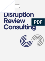 Disruption Review Consulting