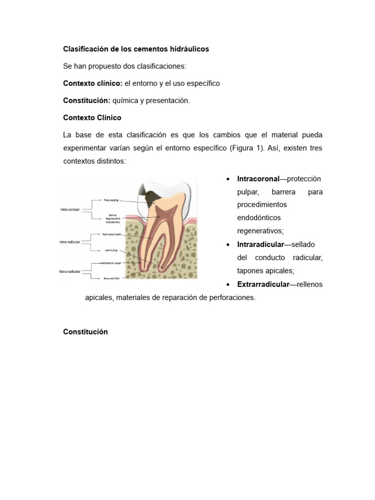 Clasificación de Biocerámicos | PDF | Cemento | Materiales
