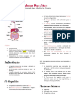 Sistema Digestório