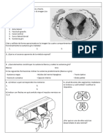 Exámenes Sistema Nervioso