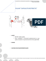 Tema1 6 Subescapular