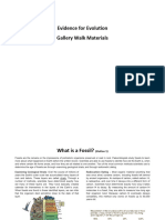 Gallery Walk - Evidence For Evolution - Walk Cards (Student)