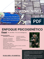 PS Evolutiva Niñez