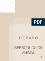 Repaso Reproducción Animal ??