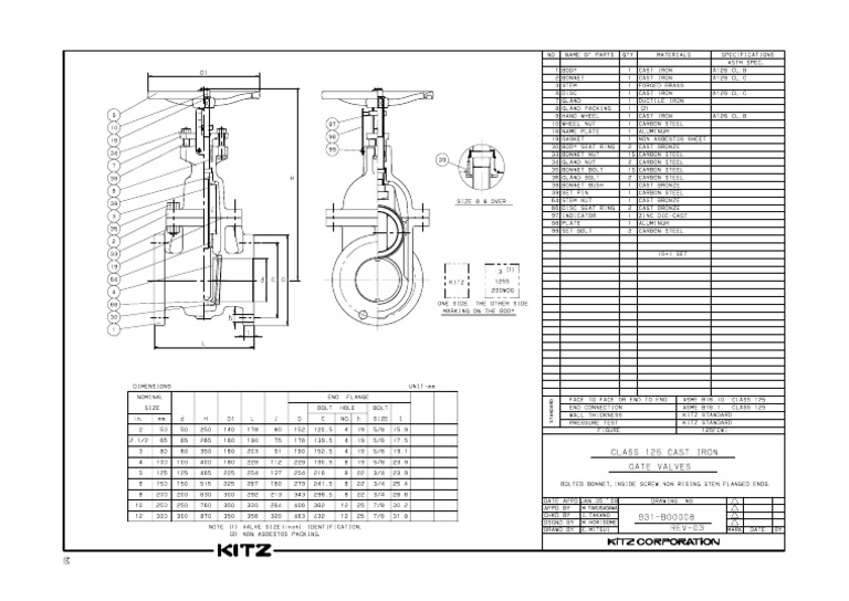 Cast Iron Gate Valve | PDF
