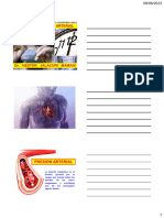 Toma de Presion Arterial