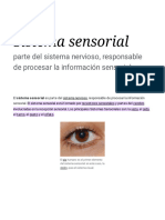 Sistema Sensorial - Wikipedia, La Enciclopedia Libre