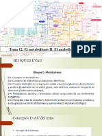 Tema 10. El Metabolismo II. El Anabolismo.