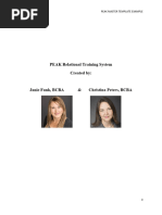 AIM Curriculum Worksheets Overview | PDF | Feeling | Psychological Concepts
