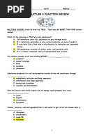 Cell Structure - Function Review With Answers