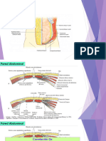 Anatomía Ginecológica 2019 5 15