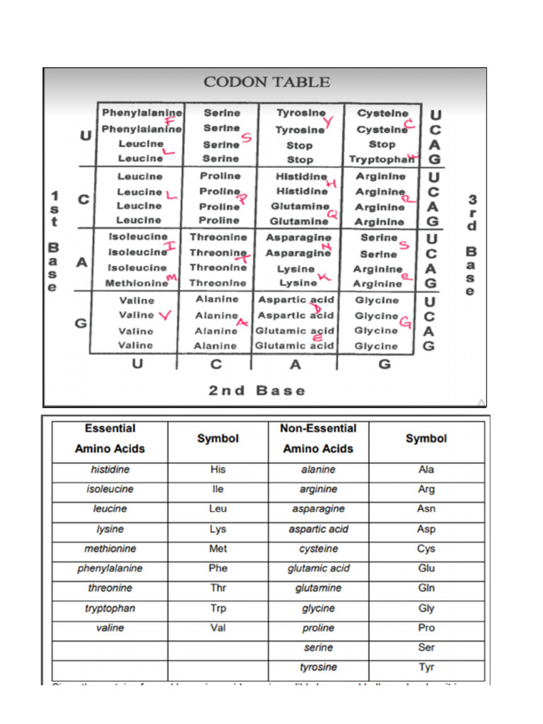 Chart DNA PDF
