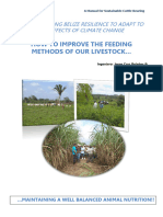 A Manual For Sustainable Cattle Rearing