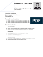 Curriculum Vitae Funcional