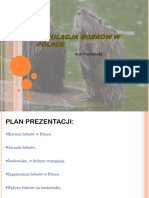 Populacja Bobrow W Polsce