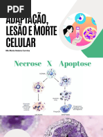 Apoptose vs Necrose: Morte Celular Explicada | PDF | Apoptose | Necrose