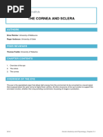 02 The Cornea and Sclera