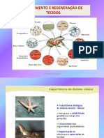7CRECIMENTO E REGENERAÇÃO DOS TECIDOS (2) - Cópia