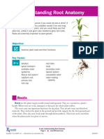 Root Anatomy E-Unit