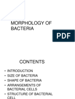 Morphologyofbacteria