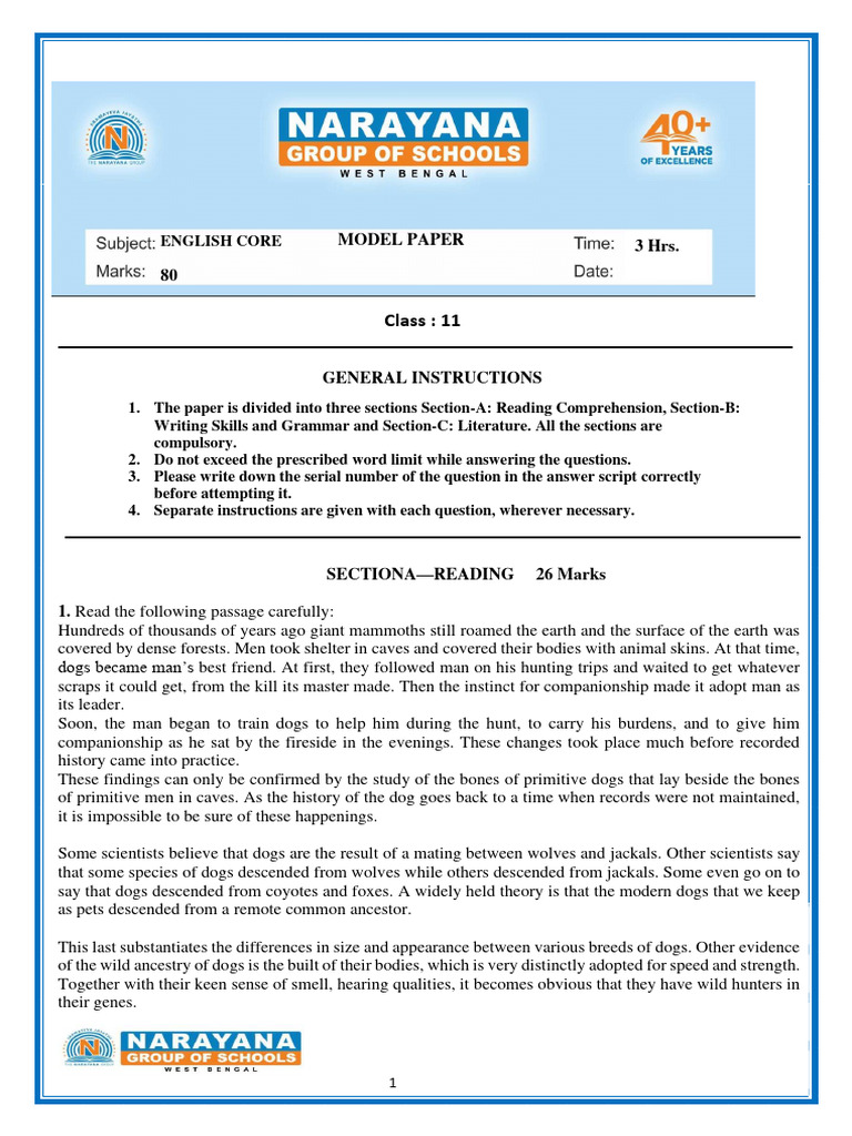 Model Paper - Class 11 | PDF | Dogs | Leadership