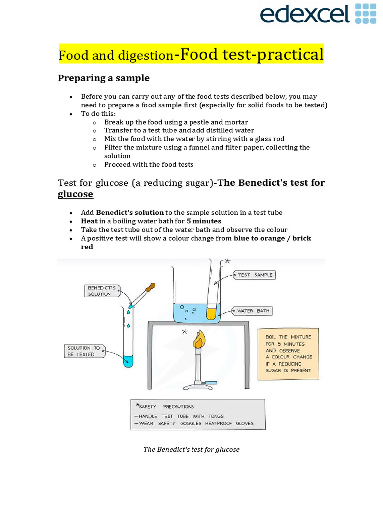 Food Test Practical: Glucose, Starch, Protein, Lipids | PDF | Ethanol ...