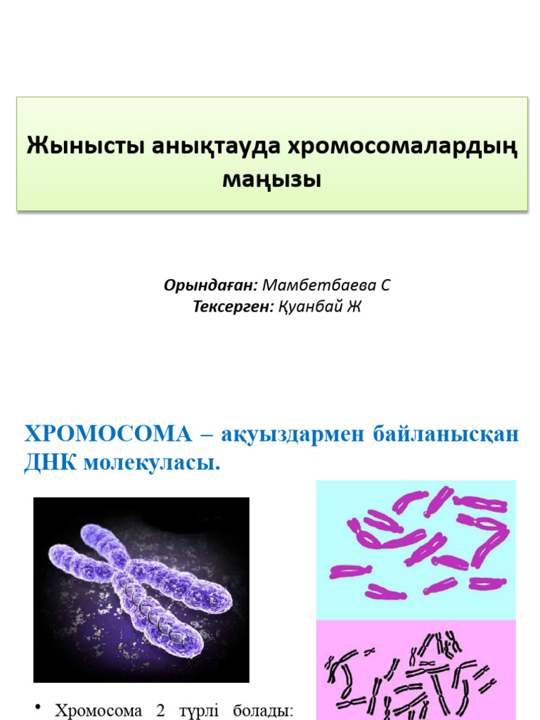 Қызықты секс HD форматында