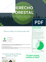 Derecho Forestal - Conceptos Básicos e Instituciones