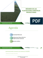 Regimen PLANTACIONES PRODUCTORAS - 2023