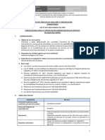 BASES CAS 043-2024-SUNAFIL (TRANSITORIO)