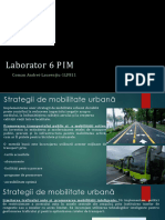 Laborator 6 PIM
