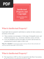 4 - Intellectual Property and Copyright