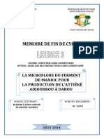 Memoire de Fin de Cycle Licence 3