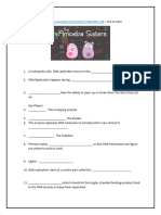Ameba Sisters DNA Replication