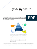 Ecological Pyramid - Wikipedia