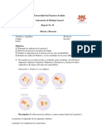 REPORTE #10 Biología Meiosis y Herencia.